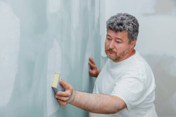 Best Wallpaper Removal and Painting  in Barre, VT